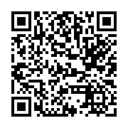 QR code for HWN397