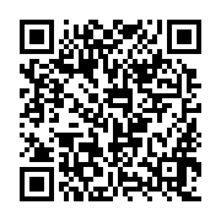 QR code for HYN396