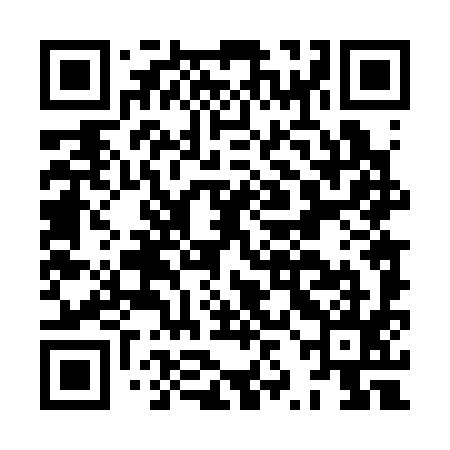 QR code for HZD395