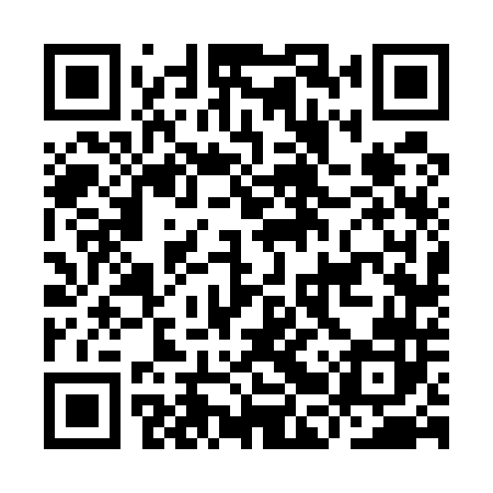 QR code for IBV542