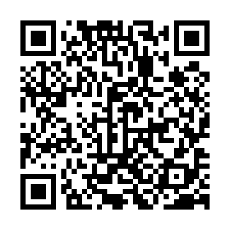 QR code for ICO598