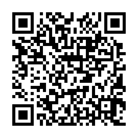 QR code for IEE307