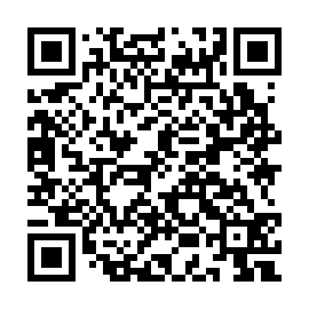 QR code for IEI332