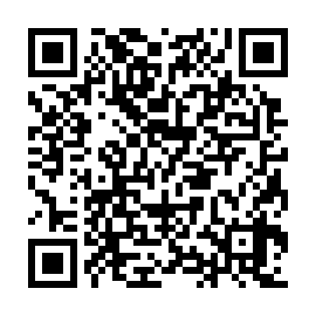 QR code for IIC338