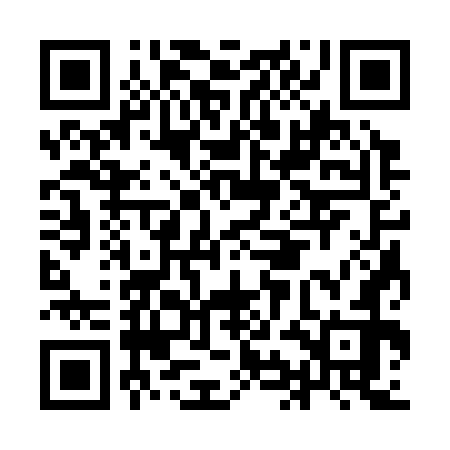 QR code for IIC372