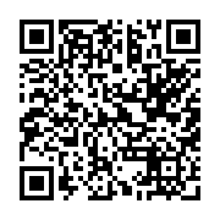 QR code for IIE289