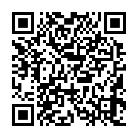 QR code for IIM379