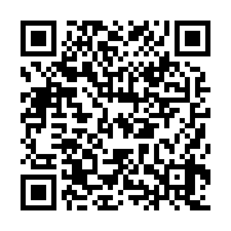 QR code for IIP838