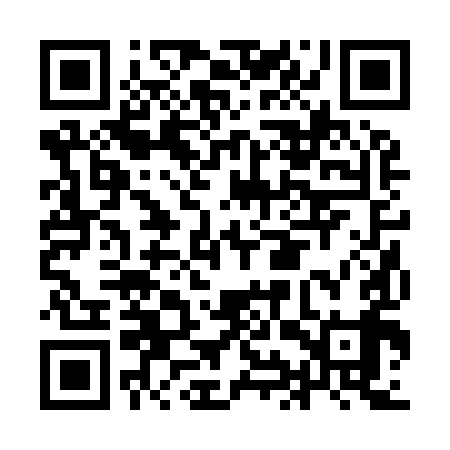 QR code for IIR999