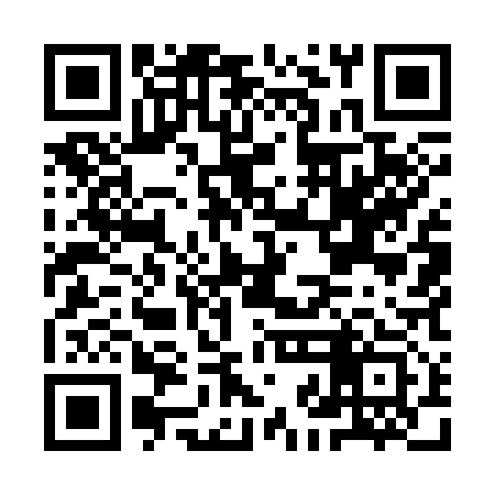 QR code for IJM313