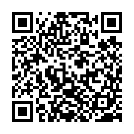 QR code for INI641