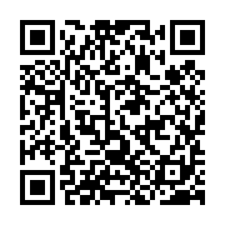 QR code for INK491