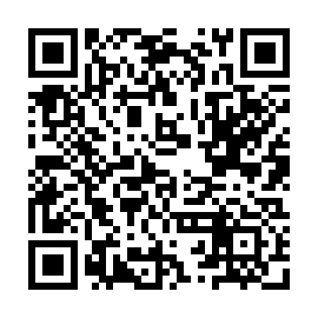 QR code for IRN333