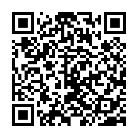 QR code for IRT038