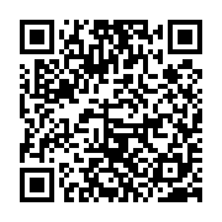QR code for ISG595
