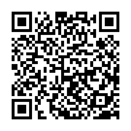 QR code for IVP038