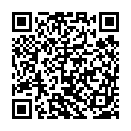 QR code for LDZ653