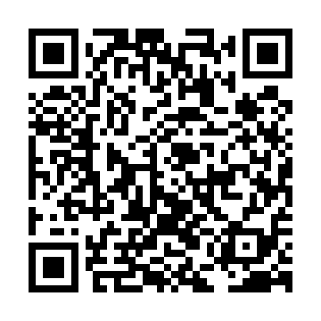 QR code for LEE519