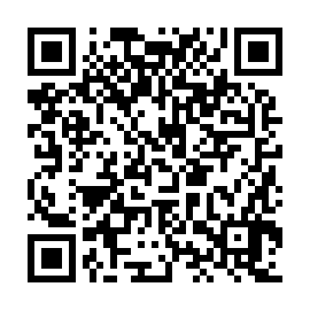 QR code for LIZ986