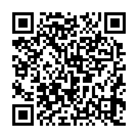 QR code for LLK379