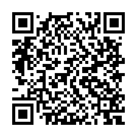 QR code for LNY553
