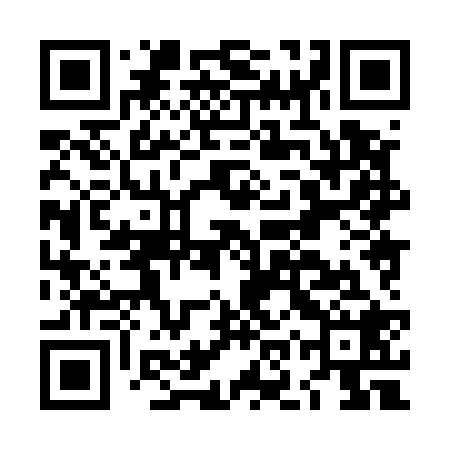 QR code for LOX528