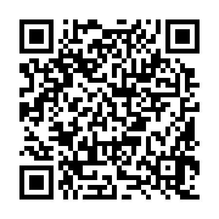 QR code for LZM386