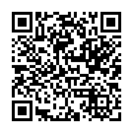 QR code for LZN381