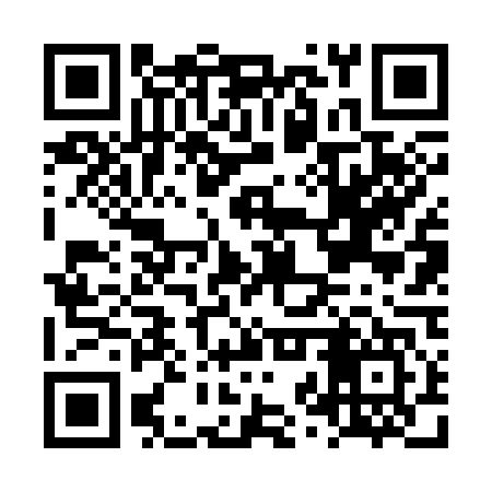 QR code for LZV347