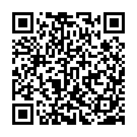 QR code for MDV161