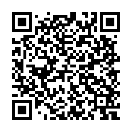QR code for MIP542