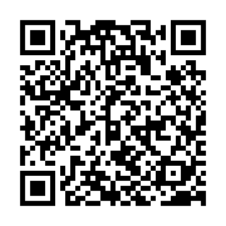 QR code for MIS229