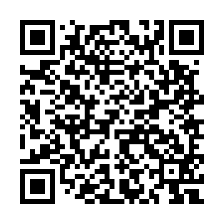 QR code for MIZ593