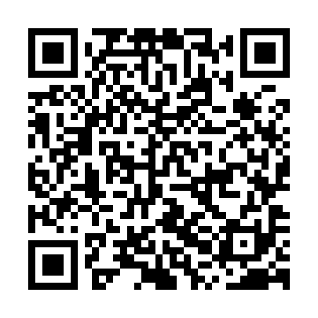 QR code for MPO991