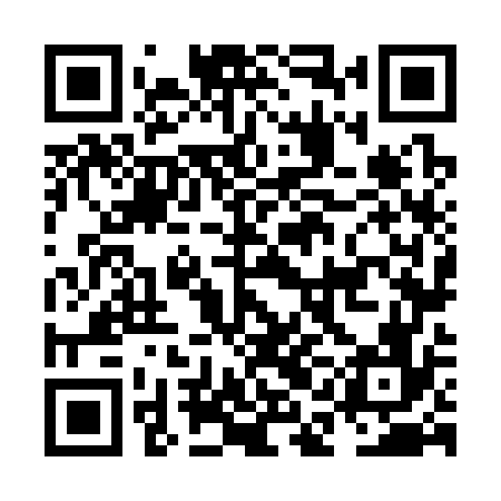 QR code for NAN376