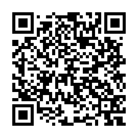 QR code for NFS533