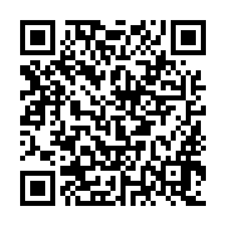 QR code for NNN596