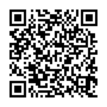 QR code for NST381