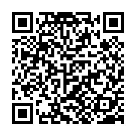 QR code for OKG009