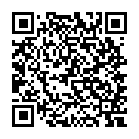 QR code for OKU381