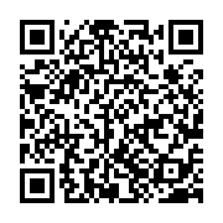 QR code for OZL919