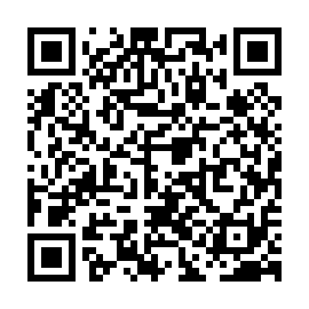 QR code for PAE011