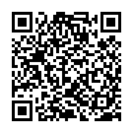 QR code for PBI481