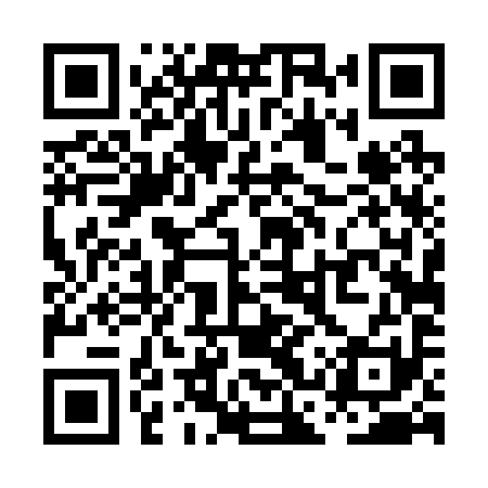 QR code for PCT291
