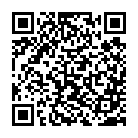 QR code for PDF642