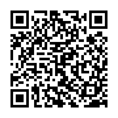 QR code for PDG541