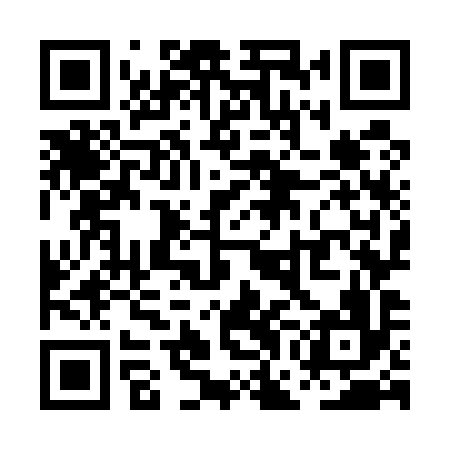 QR code for PGO596