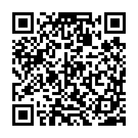 QR code for PIZ641