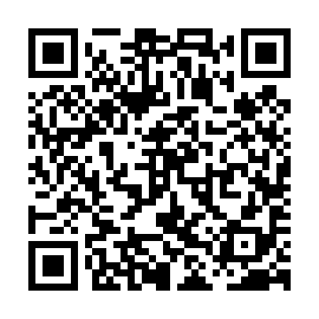 QR code for PLV498