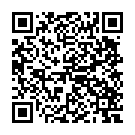 QR code for PNS447